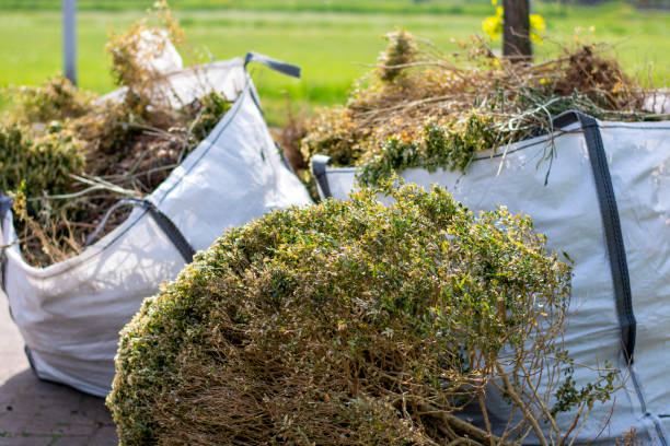 Professional Junk Removal Services in Pine Mountain, GA
